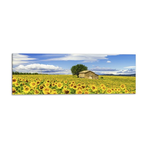 Quadro stampa tela - stampa, con
