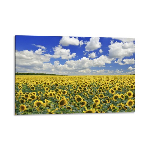 Quadro stampa tela con - su,