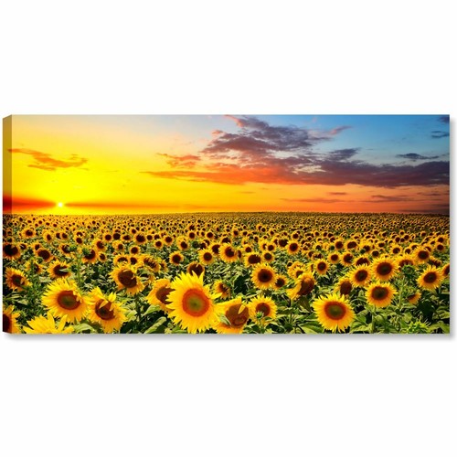 Campo girasoli 90x45 - campo,