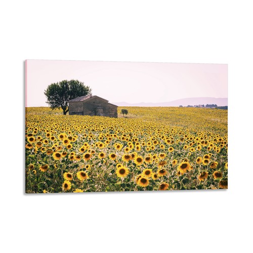 Quadro stampa tela con - stampa,