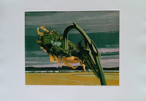 Dario manini - manini,