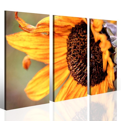 Quadro moderno dry - moderno, sunflower