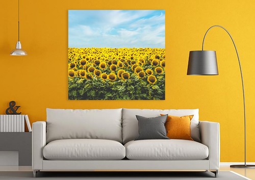 Quadro paesaggio girasoli