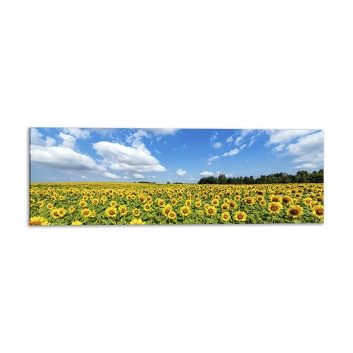Quadro stampa tela con - quadro,