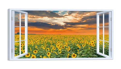 Quadro stampa tela con - quadro,