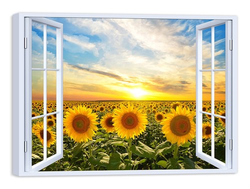 Quadro stampa tela con - quadro, su