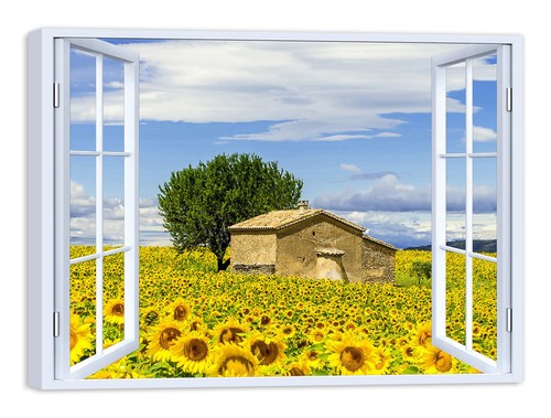 Quadro stampa tela con - quadro,