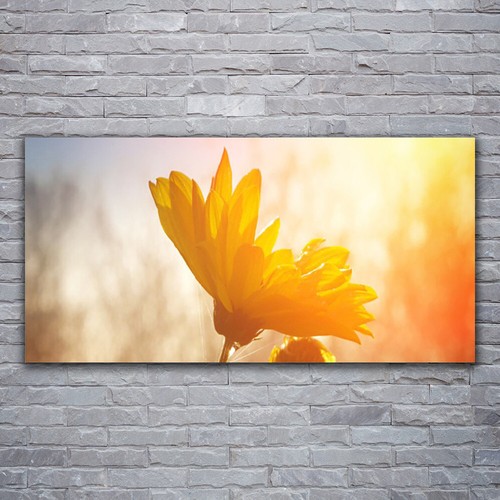 Moderni astratti 120x60 quadro - moderni,
