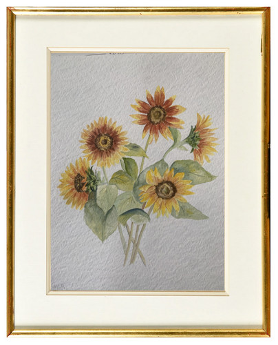 Splendido acquerello fiori - splendido, di
