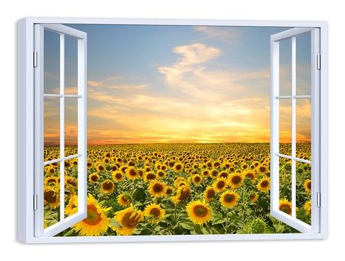 Quadro stampa tela - tela, con