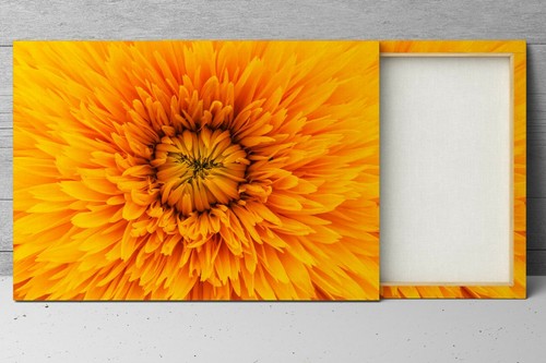 Quadro moderno con - , stampa