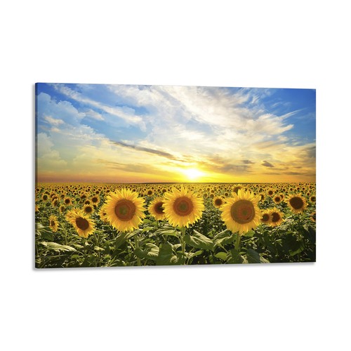 Quadro stampa tela con - quadro,