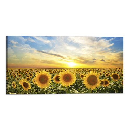 Quadro stampa tela con - su,