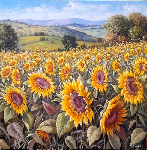 Damato campo di - damato,